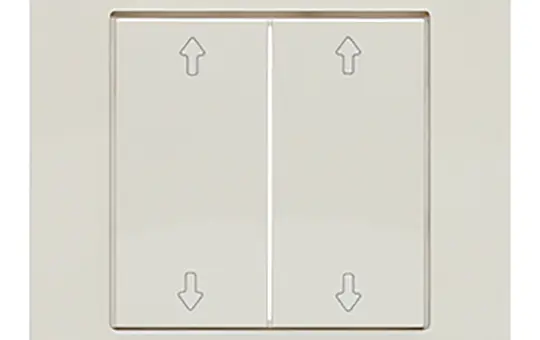 LINGG&JANKE 87877-RW rocker for pushbutton sensor 2-fold, arrow | pure white shiny