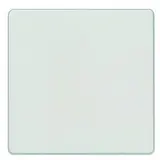 SIEMENS rocker DELTA i-system 