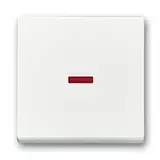 BUSCH-JAEGER control rocker Future 