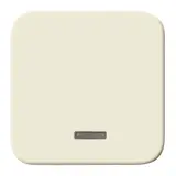 BUSCH-JAEGER touch dimmer cover Duro 2000 