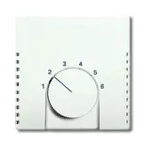 BUSCH-JAEGER RTR cover Future 