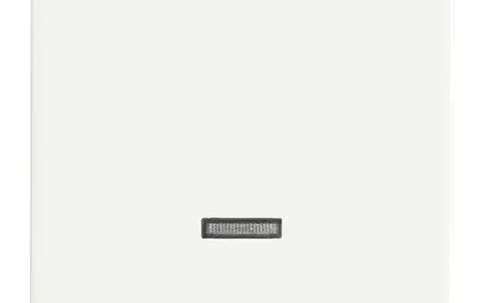 BUSCH-JAEGER 6543-884-101 touch dimmer cover Future 1-fold | studio white matt