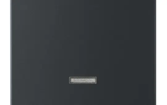 BUSCH-JAEGER 6543-885-101 touch dimmer cover Future 1-fold | matt black