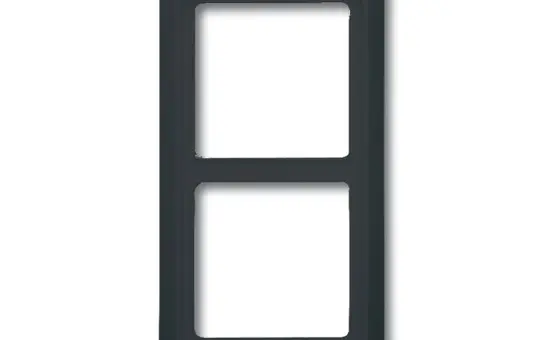 BUSCH-JAEGER 2102-35 cover frame all-weather 44 2-fold | anthracite