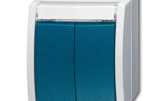 BUSCH-JAEGER 2621WN-53-205-101 double button Ocean 2 closers | grey/teal