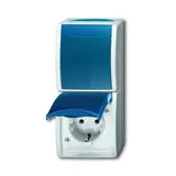 BUSCH-JAEGER 2601/6/20EW-53 surface-mounted combination Ocea 1-way, toggle switch | grey/teal