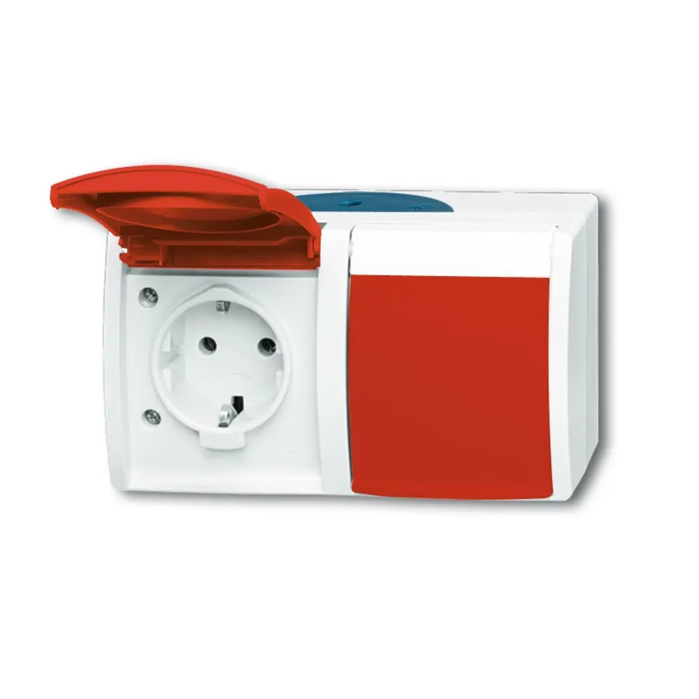 BUSCH-JAEGER 20/2EW/DVN-53 SCHUKO AP socket Ocean 2-fold, horizontal ...