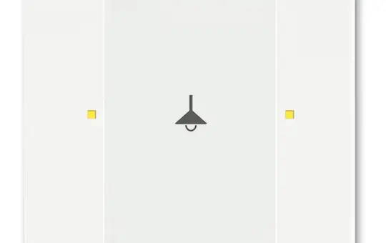 BUSCH-JAEGER 6125/02-884 KNX pushbutton control element 1-fold | studio white matt