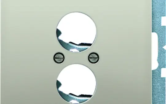 JUNG AL2962-2 speaker socket cover series LS 2-fold | aluminum