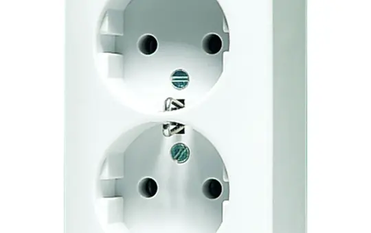 JUNG 6020AWW SCHUKO socket AP 600 series 2-fold | alpine white