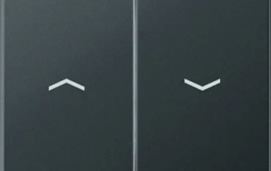 JUNG A595BFPANM blind rocker series A 2-fold, thermoplastic | anthracite matt