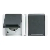 JUNG 8220WTS SCHUKO socket series WG 800 2-fold, divider