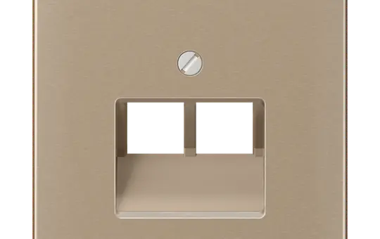 JUNG CD569-2UAGB Network Coverage Series CD 2-fold | gold-bronze