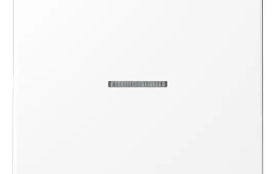 JUNG LS990KO5WWM control rocker series LS 1-fold | snow white matt