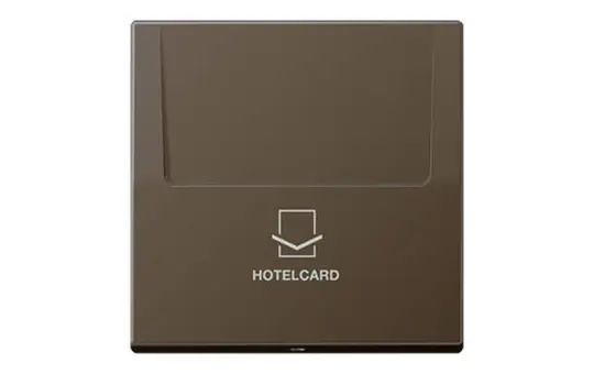 JUNG ME2990CARDAT hotel card switch series LS antique brass