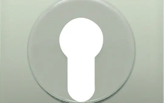 JUNG AL2928 cover for key switch series LS with dismantling protection | aluminum