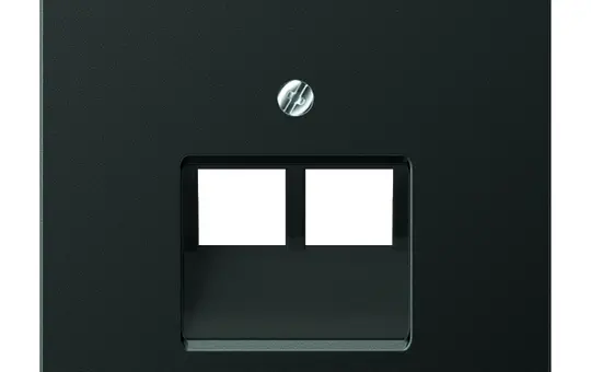 JUNG AL2969-2UAAN network cover series LS 2-fold | anthracite