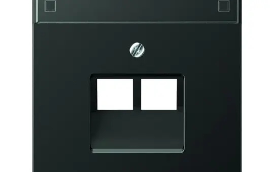 JUNG AL2969-2NAUAAN network cover series LS 2-fold, label field | anthracite