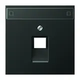 JUNG AL2969-1NAUAAN network cover series LS 1-fold, label field | anthracite