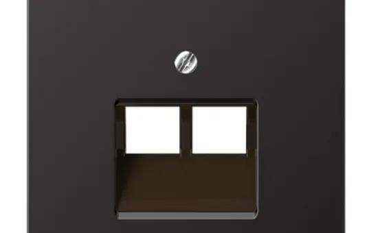 JUNG AL2969-2UAD network cover series LS 2-fold | dark