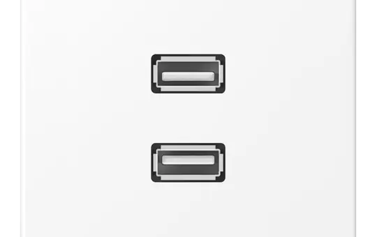 JUNG MALS1153WWM multimedia insert series LS 2xUSB 2.0 | snow white matt