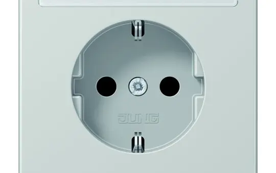 JUNG LS1520NALG described. SCHUKO socket LS standard | light gray