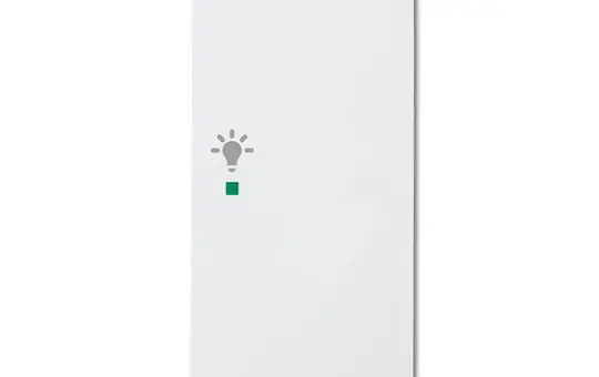 BUSCH-JAEGER 6231-22-84 descr. Rocker flex Future 2-fold, light, right | studio white