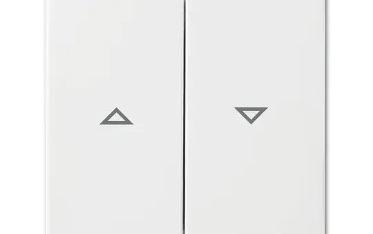 BUSCH-JAEGER 2504-914 blind rocker balance SI 2-fold | alpine white