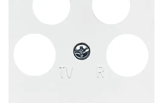 BUSCH-JAEGER 1743/10-04-214 antenna cover balance SI 4-fold | alpine white