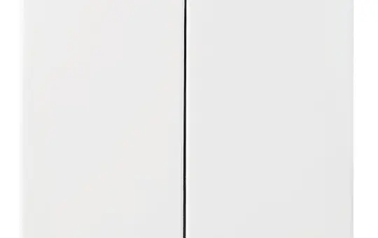 BUSCH-JAEGER 2505-914 rocker balance SI 2-fold | alpine white