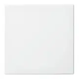 BUSCH-JAEGER 2506-914 rocker balance SI 1-fold | alpine white