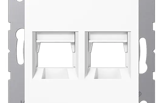 JUNG A1569-2WEWW modular jack insert series A 2-fold, Assmann | alpine white