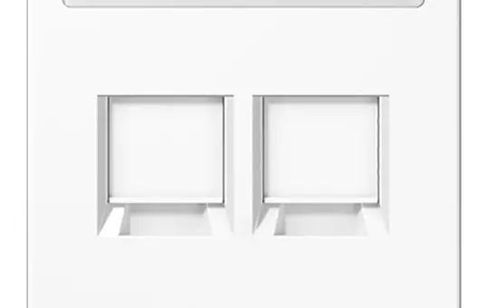 JUNG LS1969-2NAWEWW Modular Jack Cover LS Series 2-fold, label field, for universal module | alpine white