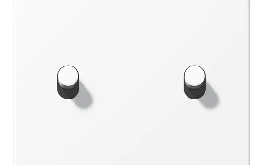 JUNG AL12-5WWMR07 cover rocker arm "cylinder" series LS 1-fold, 2 levers | snow white matt