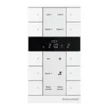 BUSCH-JAEGER SBR-F-10.0.11-84 f@h pushbutton sensor tenton 10x, RTR | studio white