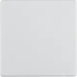 BERKER rocker Q.1/Q.3 