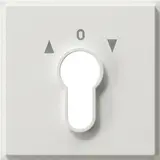 GIRA cover for key switch TX_44 