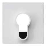 GIRA key switch cover System 55 