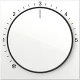 GIRA RTR cover System 55 