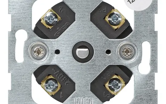 GIRA 032100 timer insert with rotary knob 120 minutes, 2-pole