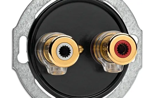 THPG 100738 Bakelite multimedia box Banana plug