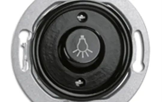 THPG 173055 Rocker button with Bakelite label closer, light