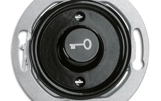 THPG 173057 Rocker button with Bakelite label Closer, key
