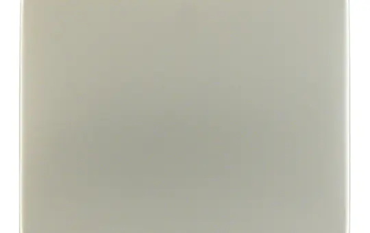 BERKER 14057004 Rocker K.1/K.5 1-fold | painted stainless steel