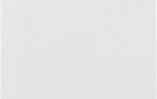 BERKER 75940409 Central plate for sensor insert polar white glossy