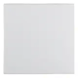 BERKER 16201909 rocker S.1/B.3/B.7 1-fold | polar white matt