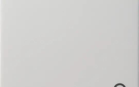 GIRA 028627 descr. Rocker system 55 1-fold, bell | pure white satin matt