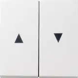 GIRA 029403 blind rocker system 55 2-fold | pure white shiny