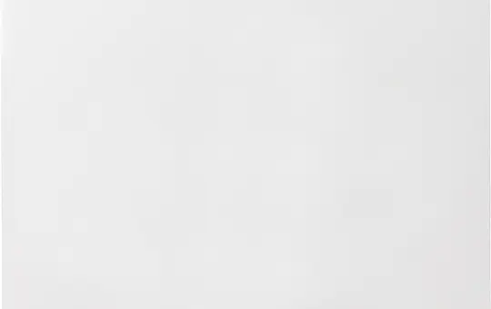 GIRA 029627 rocker system 55 1-fold | pure white satin matt