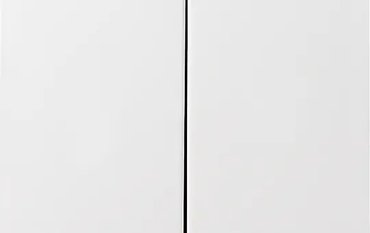 GIRA 029503 rocker system 55 2-fold | pure white shiny